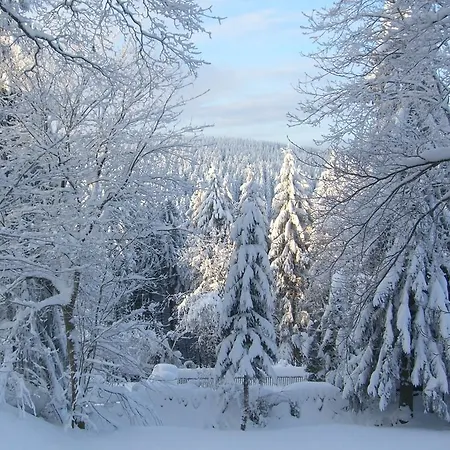 Konukevi & 810 M Oberhof (Thuringia)
