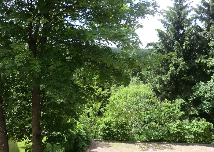 Casa de hóspedes & 810 M Oberhof (Thuringia)