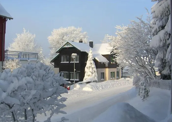 & 810 M Casa de hóspedes 3*