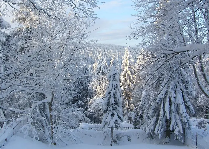 Konukevi & 810 M Oberhof (Thuringia)